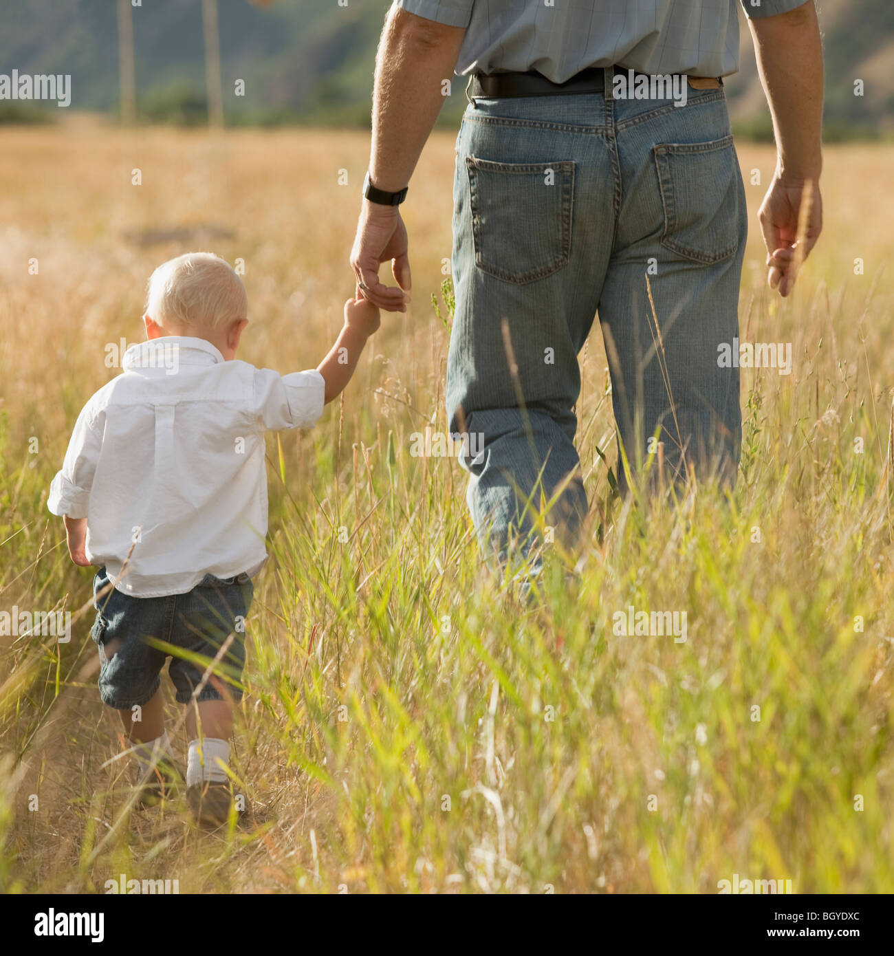 Child holding father's hand Stock Photo Alamy