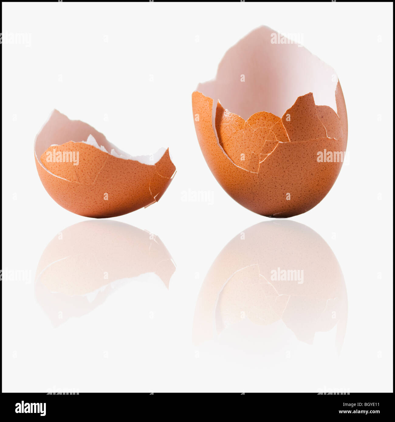 Cracked egg shell Stock Photo