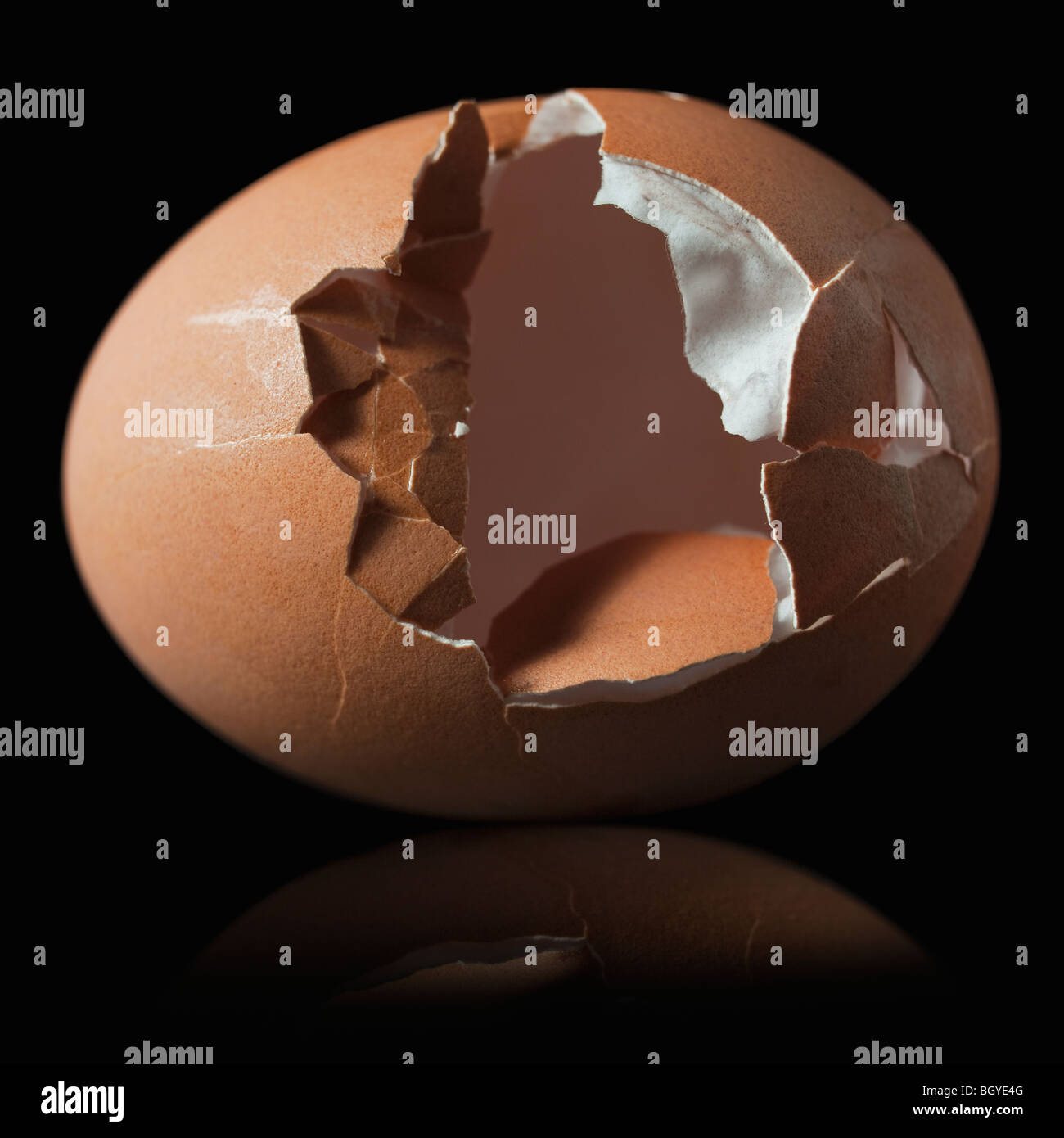 Cracked brown egg shell Stock Photo