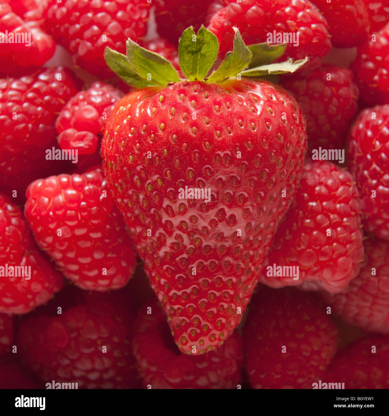 Strawberry on top of pile of raspberries Stock Photo Alamy