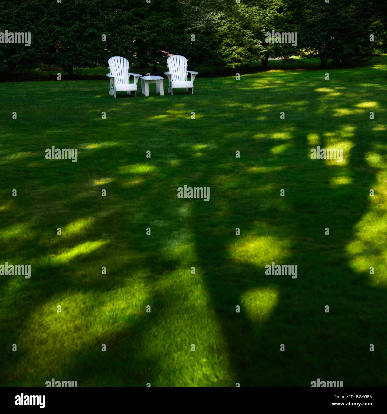 Adirondack chairs on lawn Stock Photo
