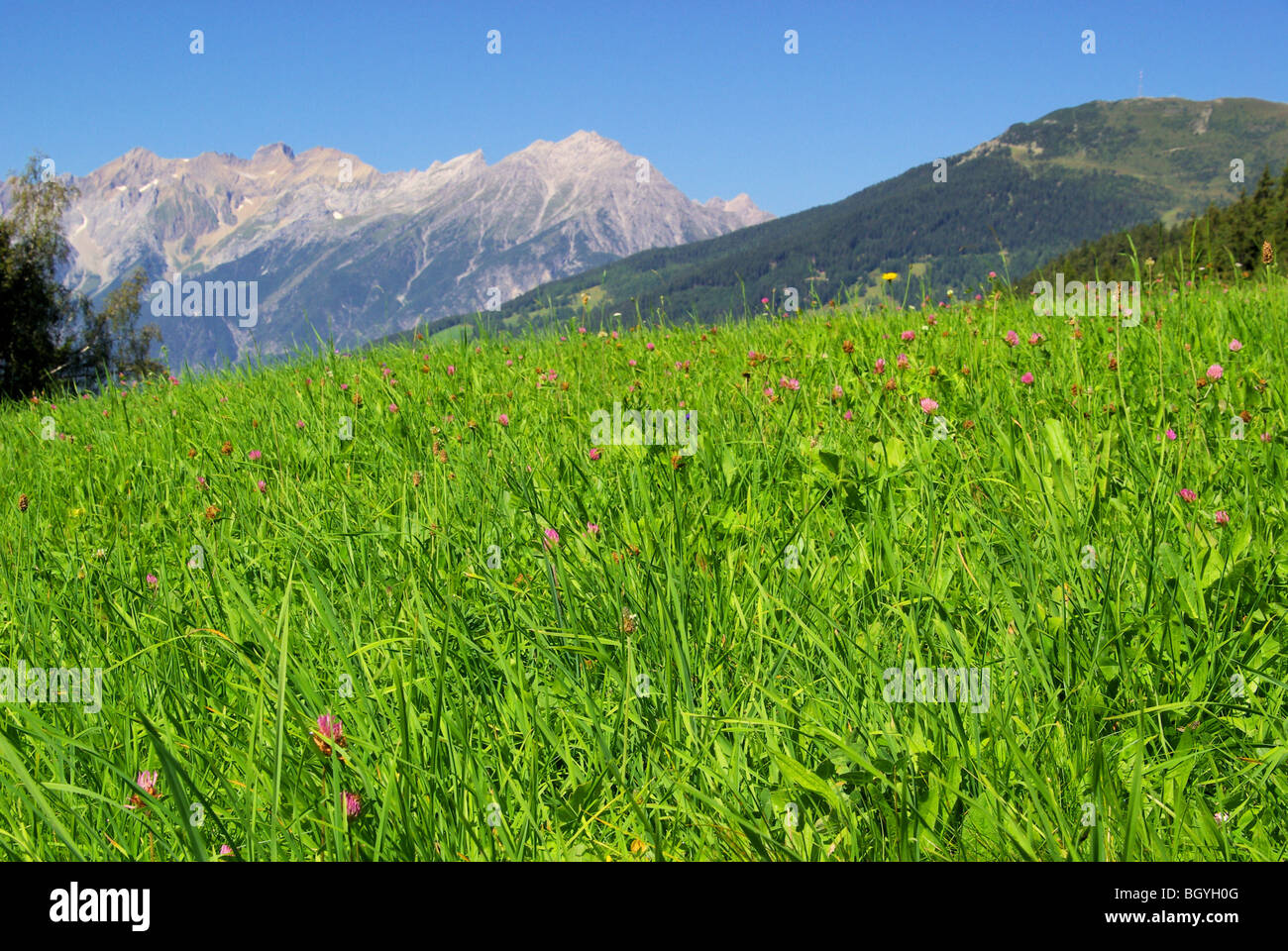 Venet mountain Venet 08 Stock Photo - Alamy