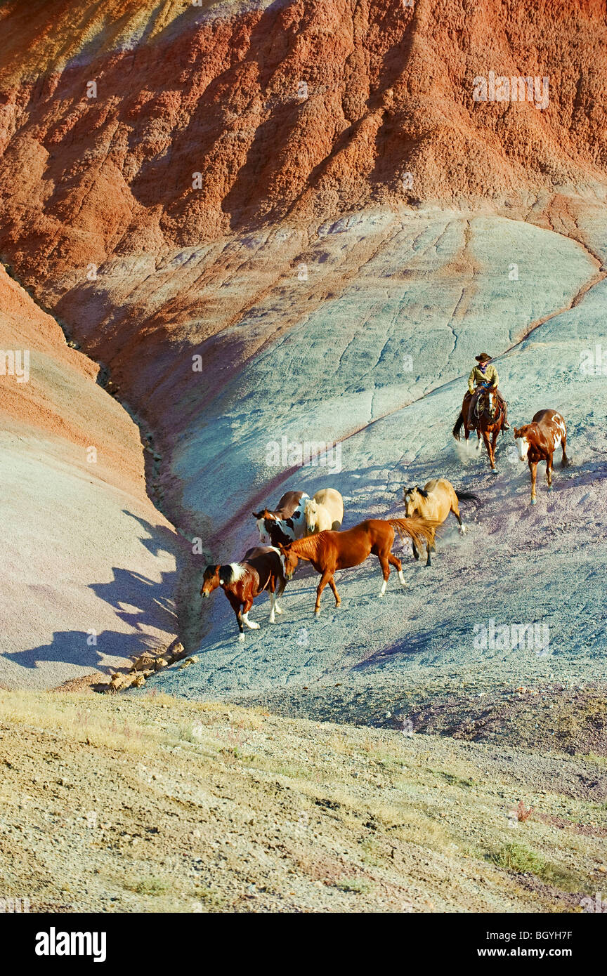 American cowboys in high hi-res stock photography and images - Alamy