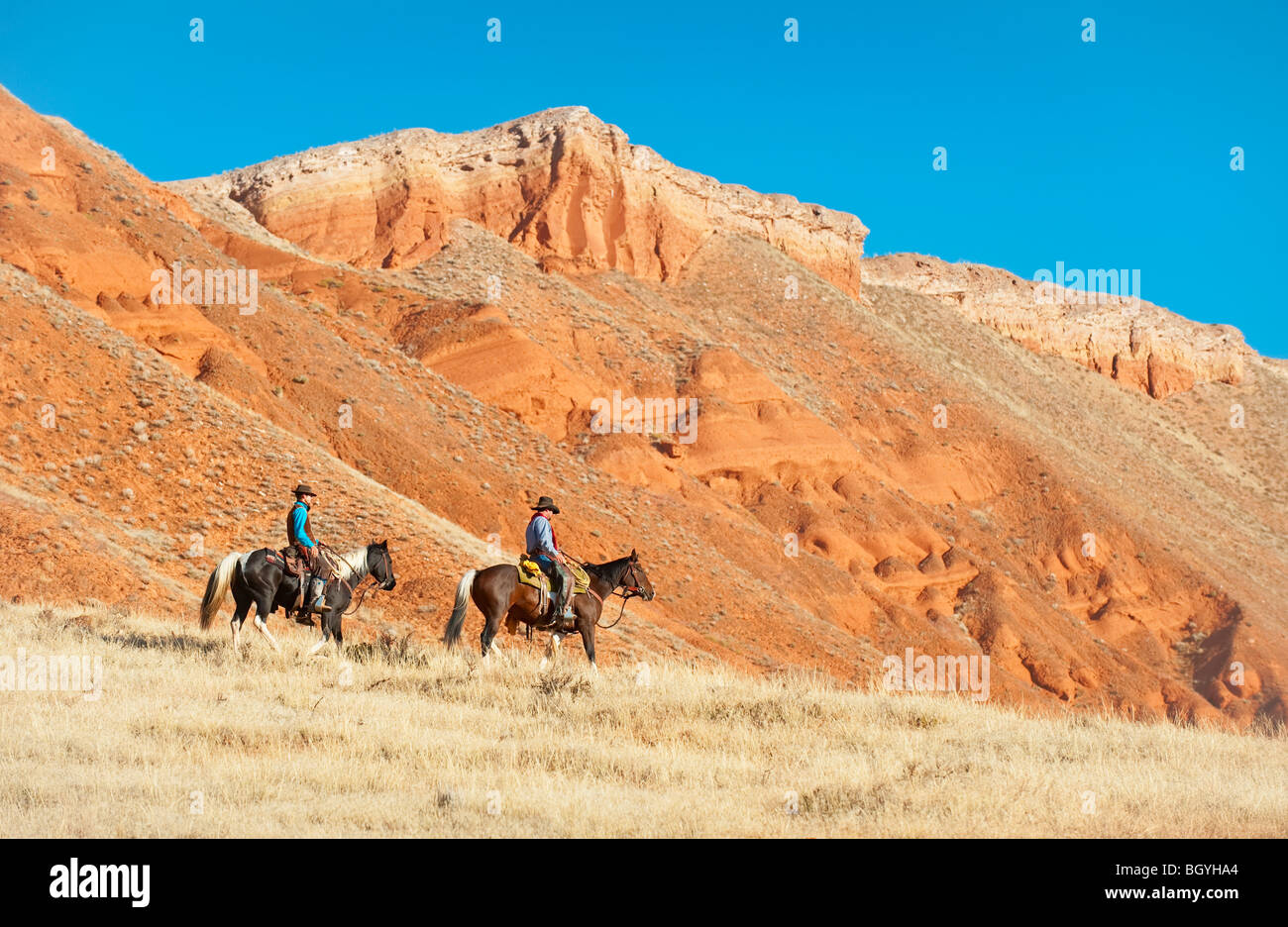 Working cowboys hi-res stock photography and images - Alamy