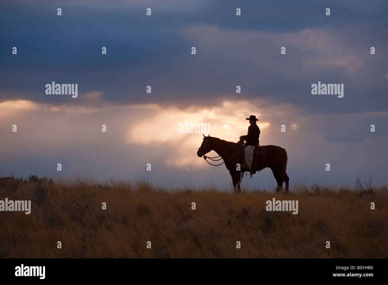 Lone rider hires stock photography and images Alamy