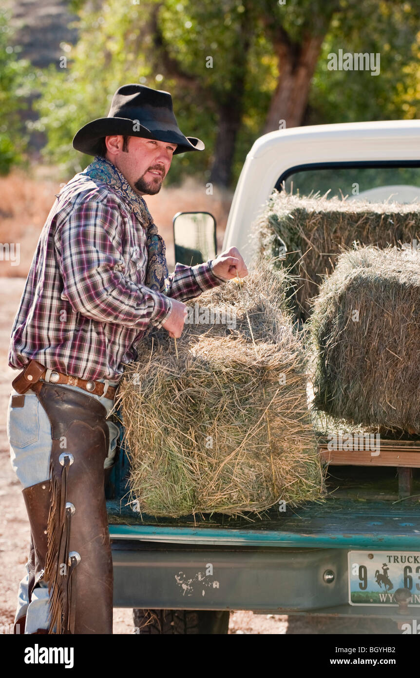 Cowboy lifting bales hay hires stock photography and images Alamy
