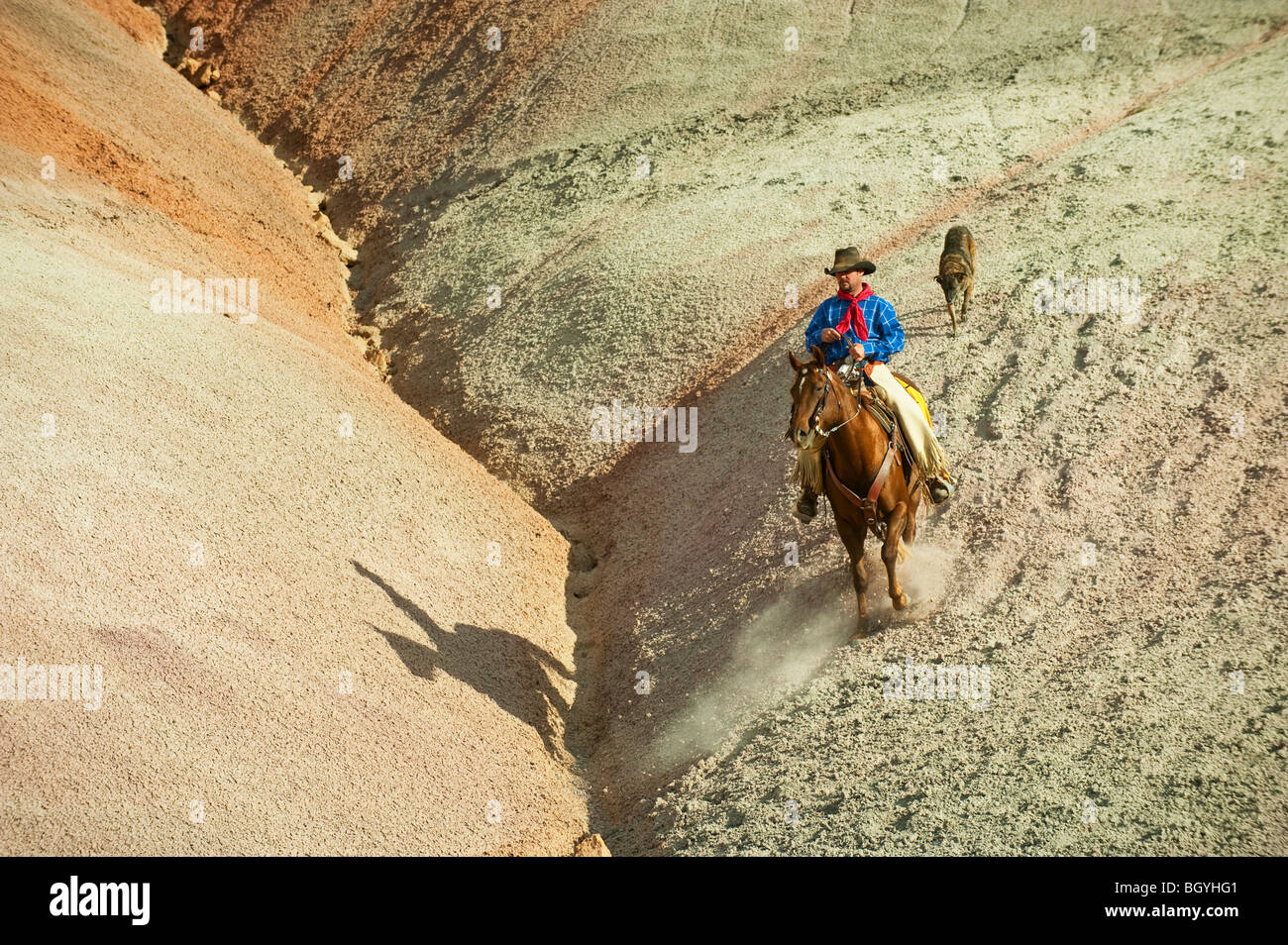 Hard Horseback Rider Hard shadow horse rider hi-res stock photography and images - Alamy