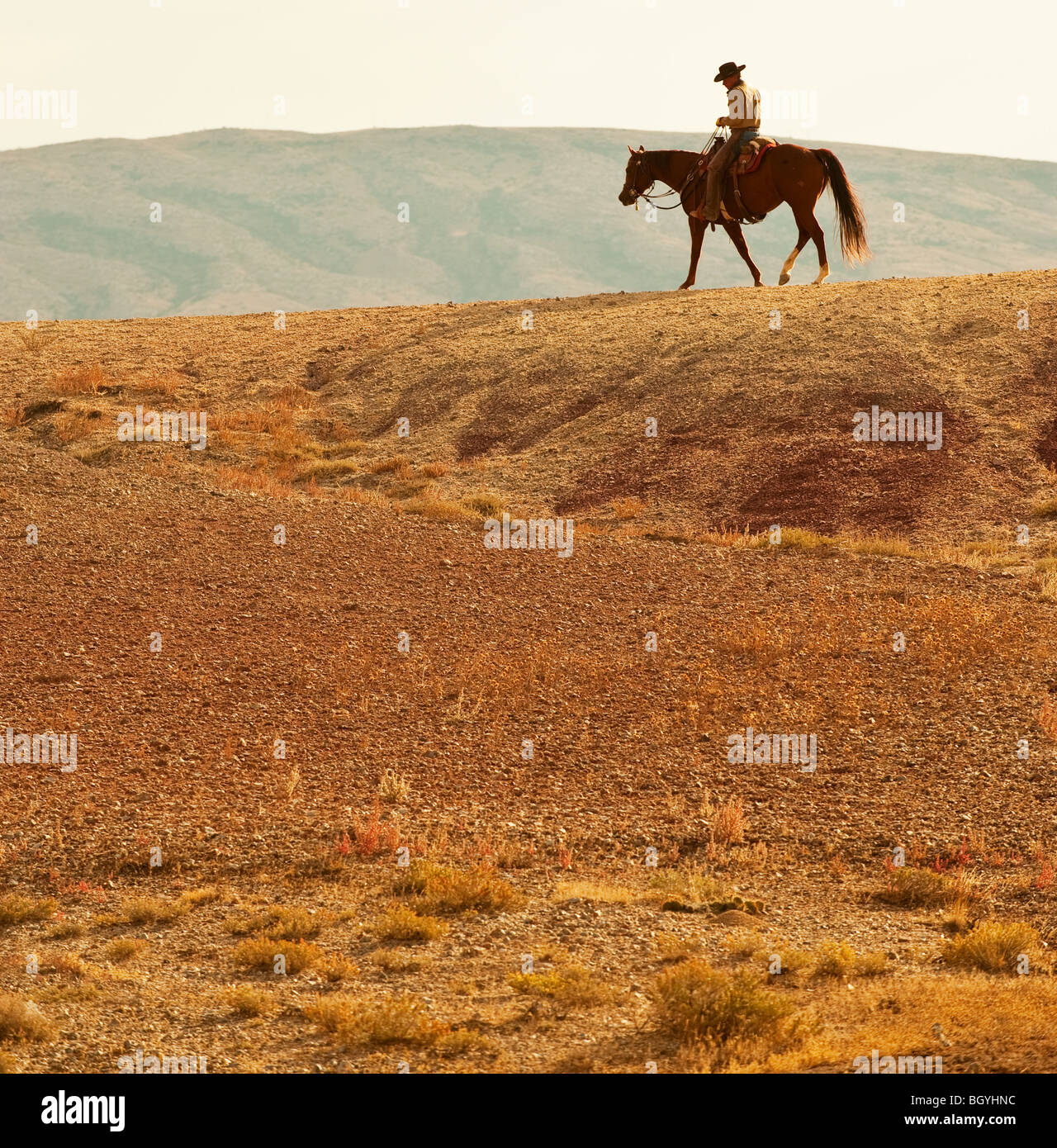 Lone rider hires stock photography and images Alamy