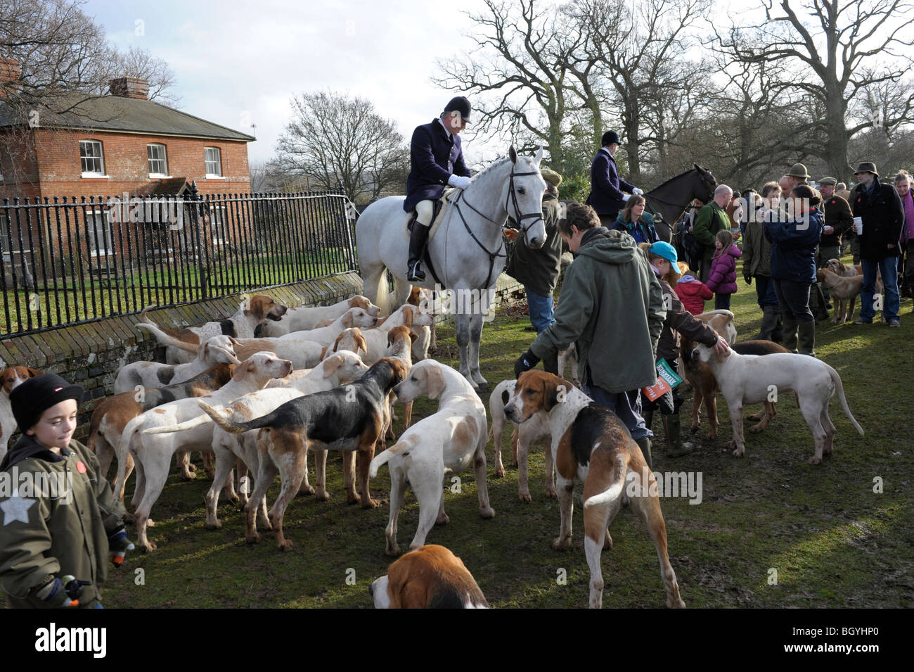 Master of Hounds with foxhounds at the Boxing Day Hunt,  Petworth Park, Sussex, England Stock Photo
