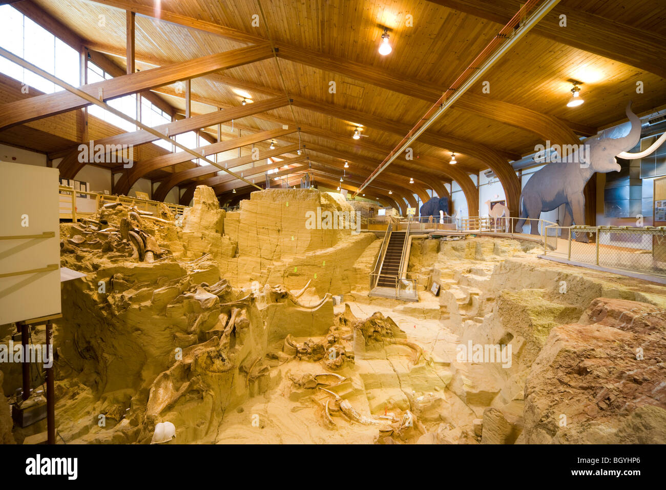 The Mammoth Site Museum, Hot Springs SD. Interior view of the bonebed with mammoth bones tusks fossils in paleontology dig. Stock Photo