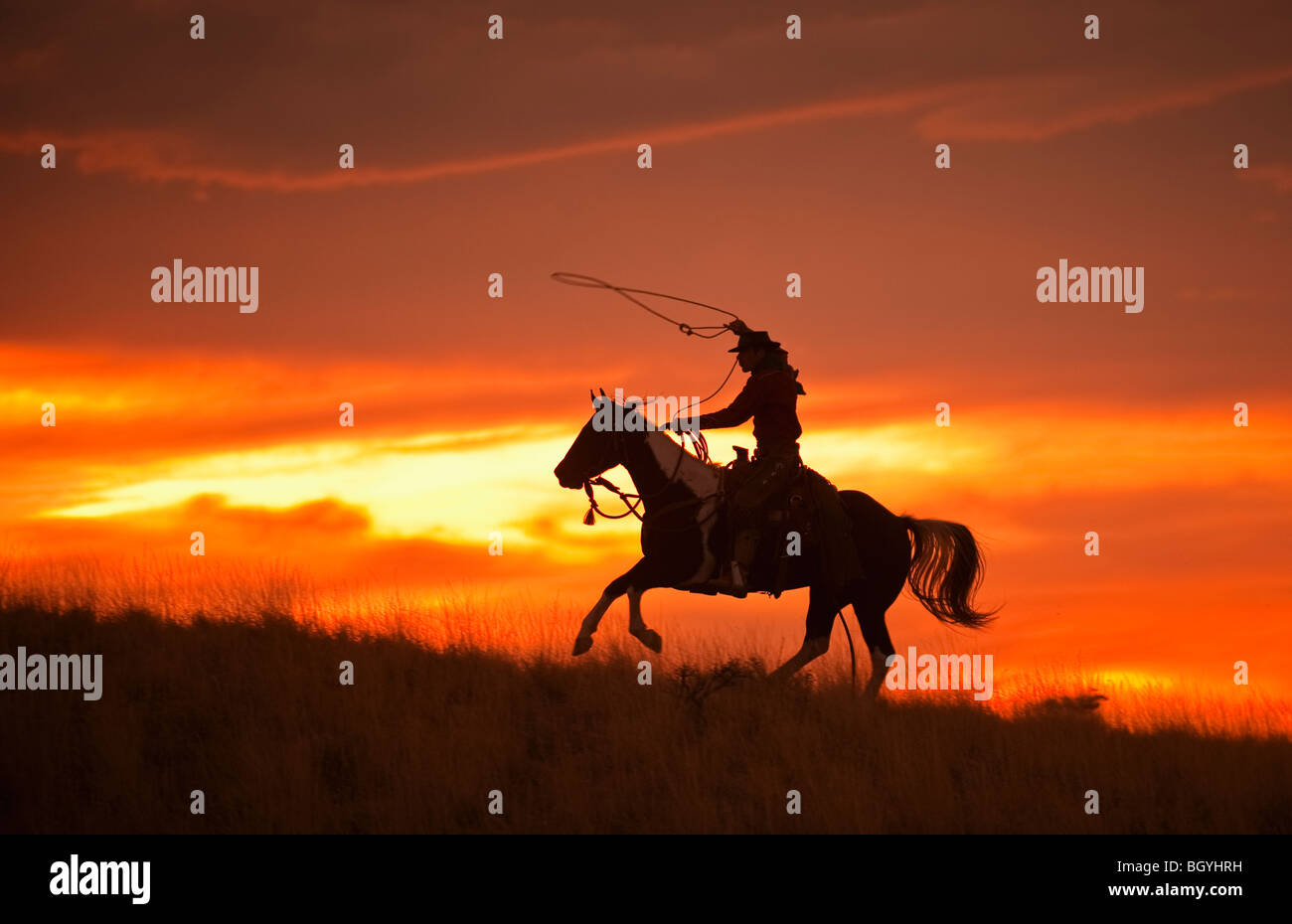 Horseback rider Stock Photo