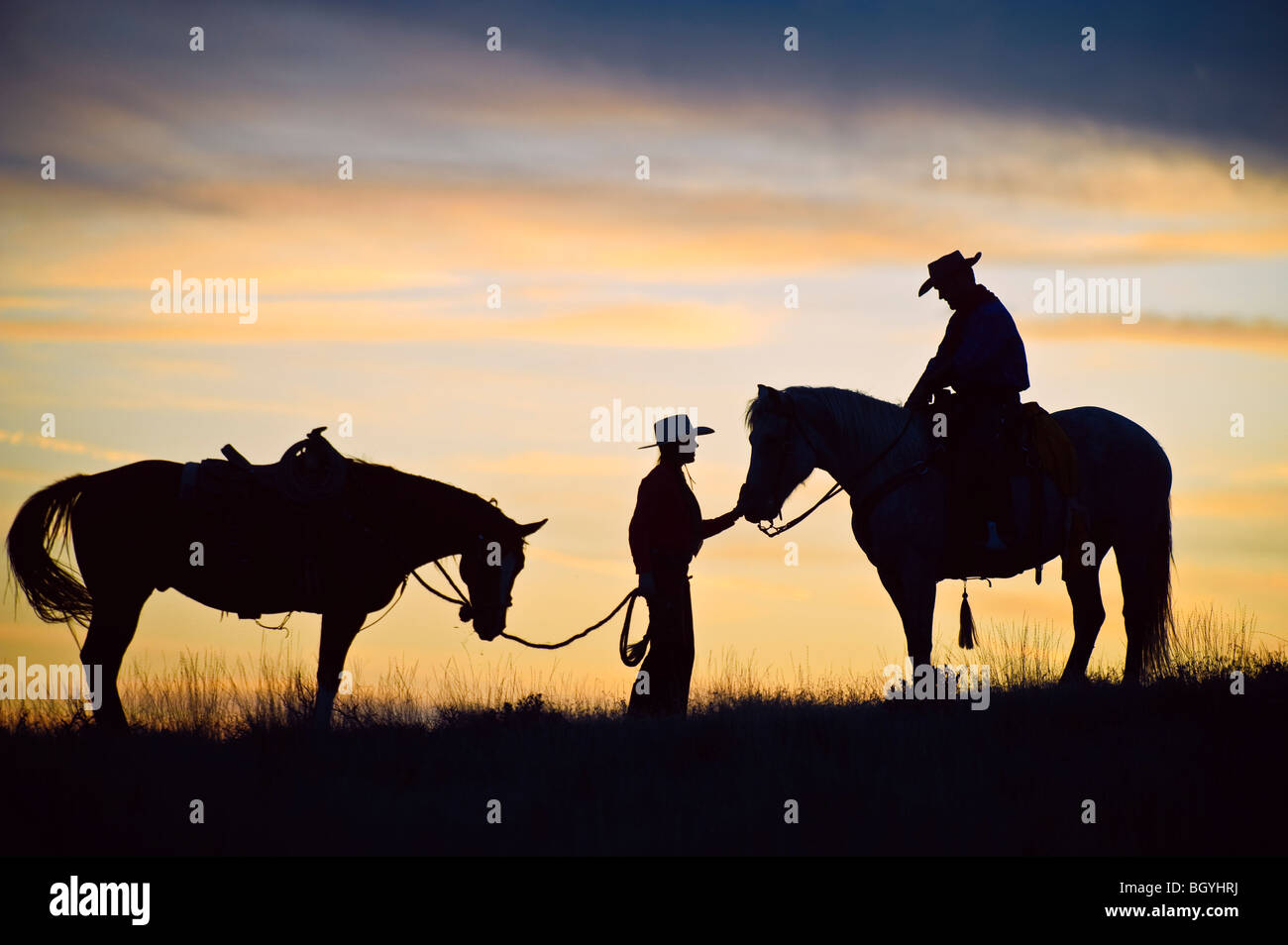 Riders horses field side hi-res stock photography and images - Alamy
