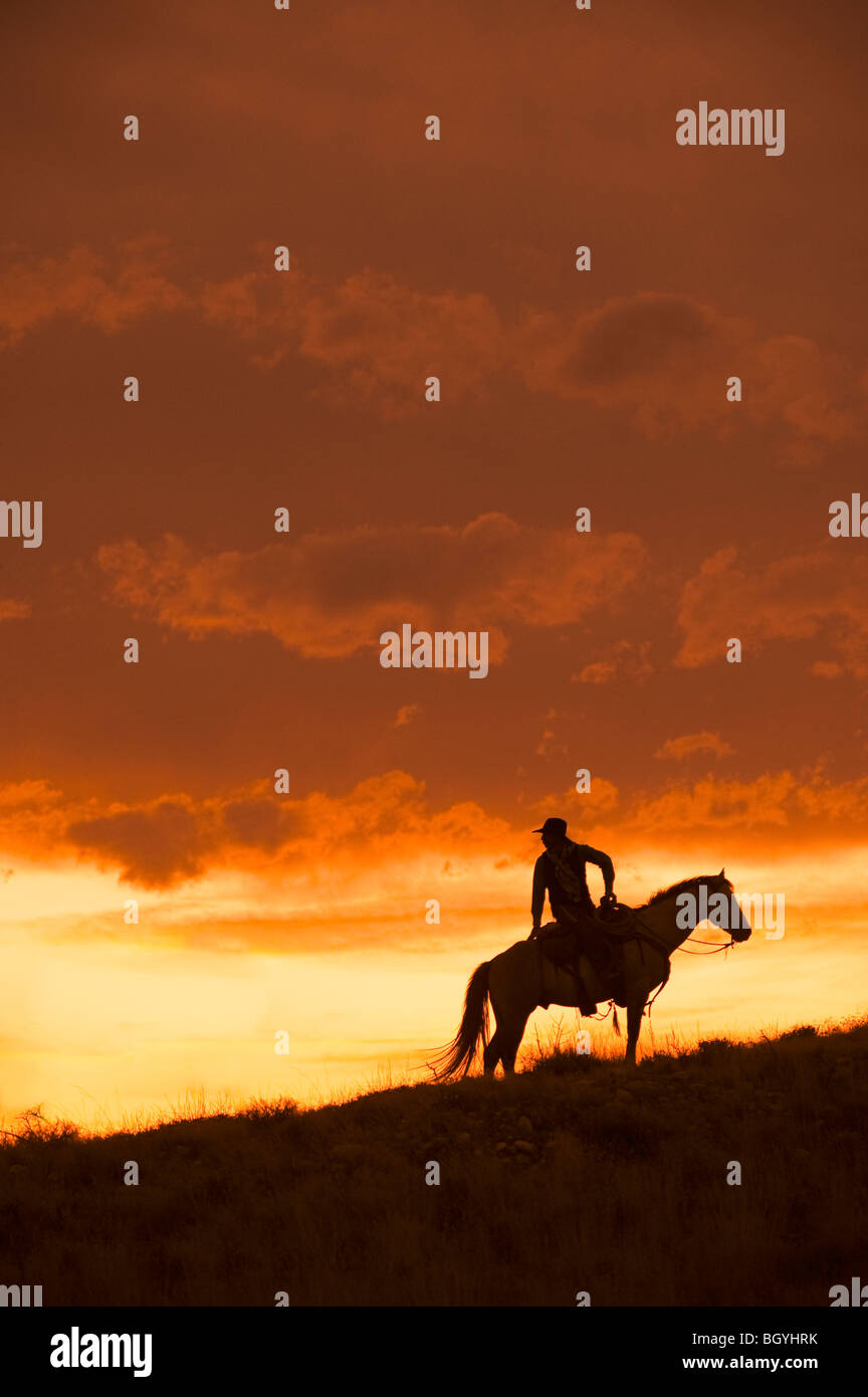 Lone cowboy hires stock photography and images Alamy