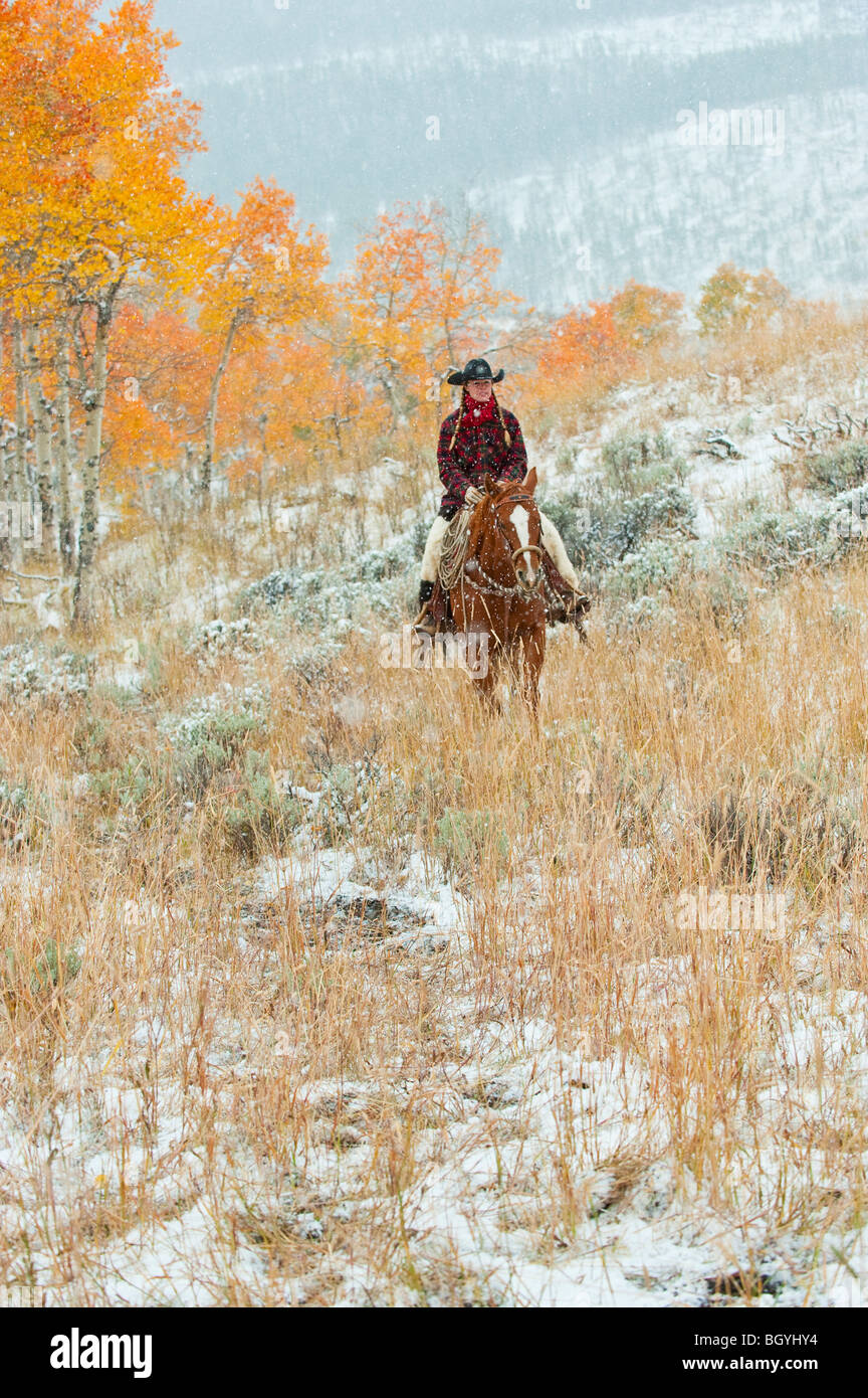 Hard Horseback Rider Horse and rider and woman and hard hat hi-res stock photography and ...