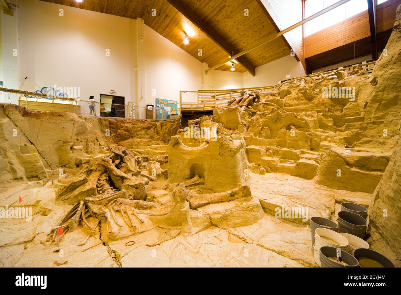 The Mammoth Site Museum, Hot Springs SD. Interior view of the bonebed