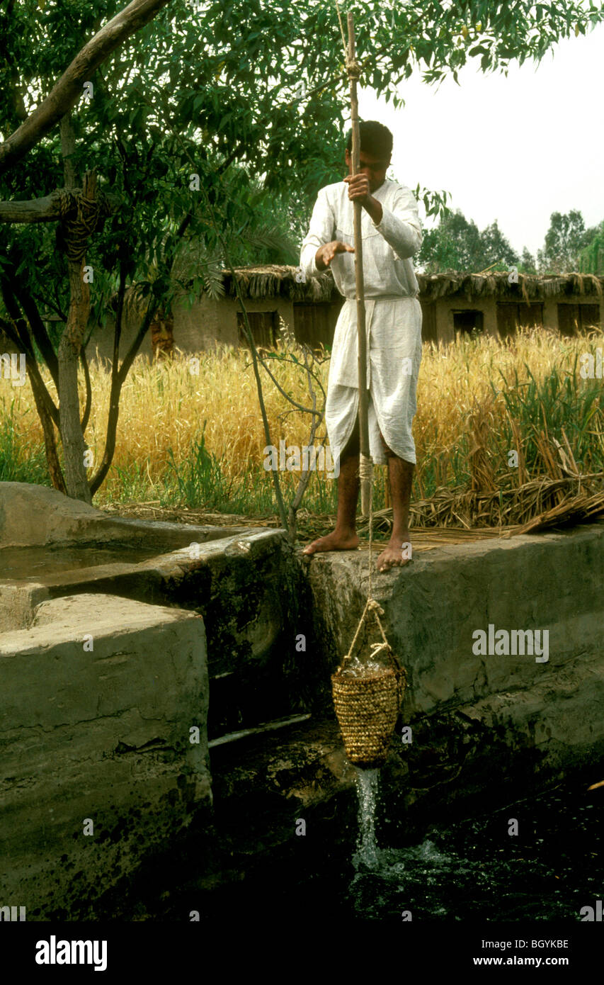 Shaduf pulley method of irrigation drawing water in a woven basket, ancient Egypt Stock Photo