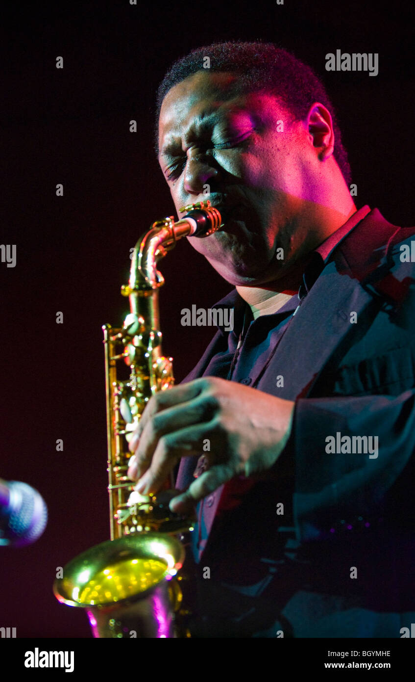 American musician sax hires stock photography and images Alamy