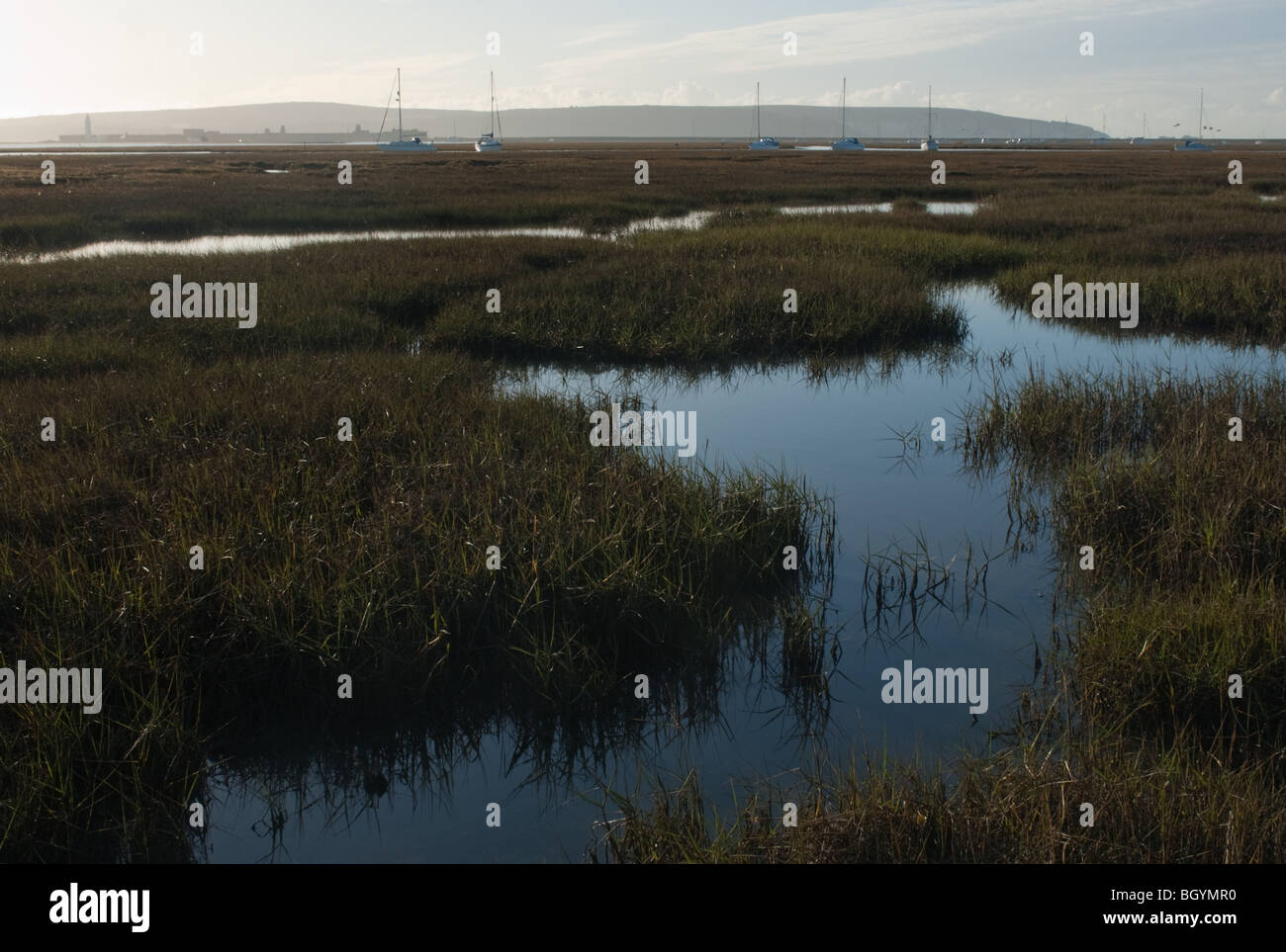 marshland near Keyhaven, Stock Photo