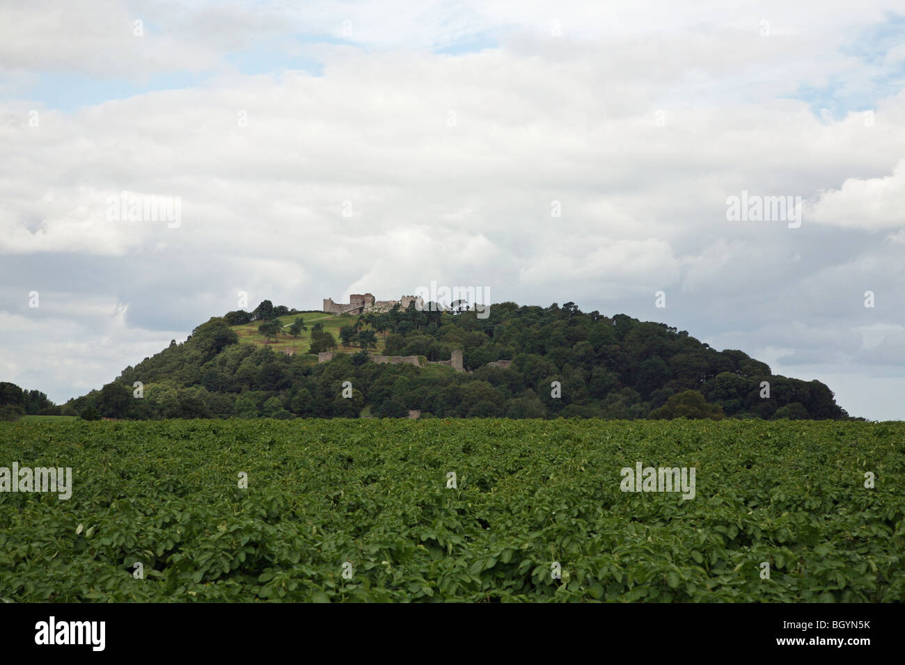Castle on a hill top hi-res stock photography and images - Alamy