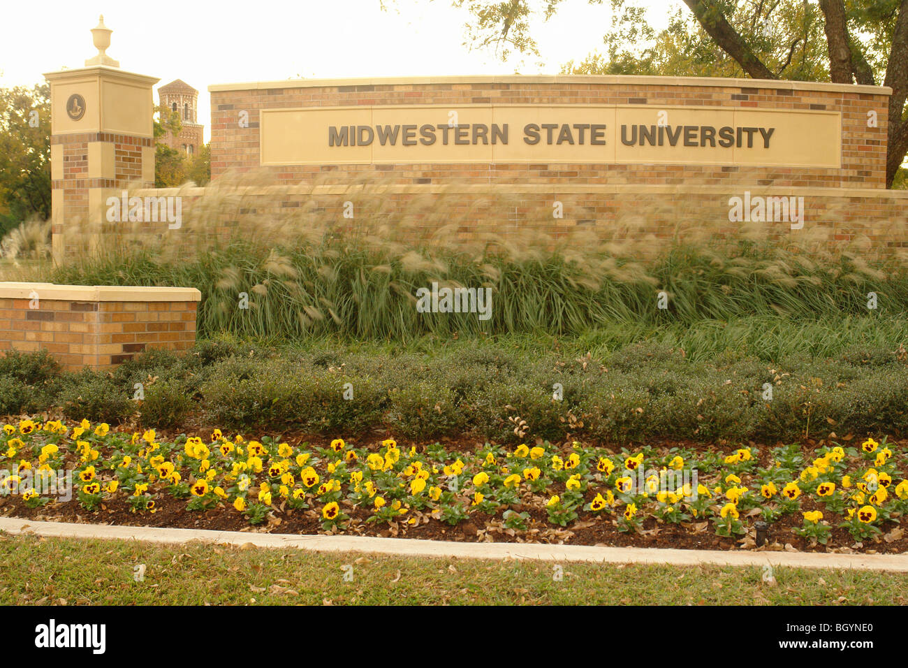 Wichita Falls, TX, Texas, Midwestern State University, entrance sign Stock Photo