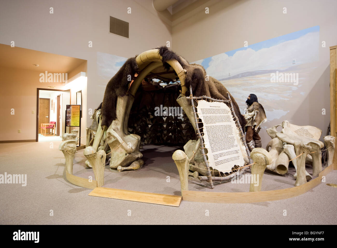 Ice Age Mammoth house hut dwelling shelter exhibit in the Mammoth Site Museum in Hot Springs, South Dakota, USA. Stock Photo