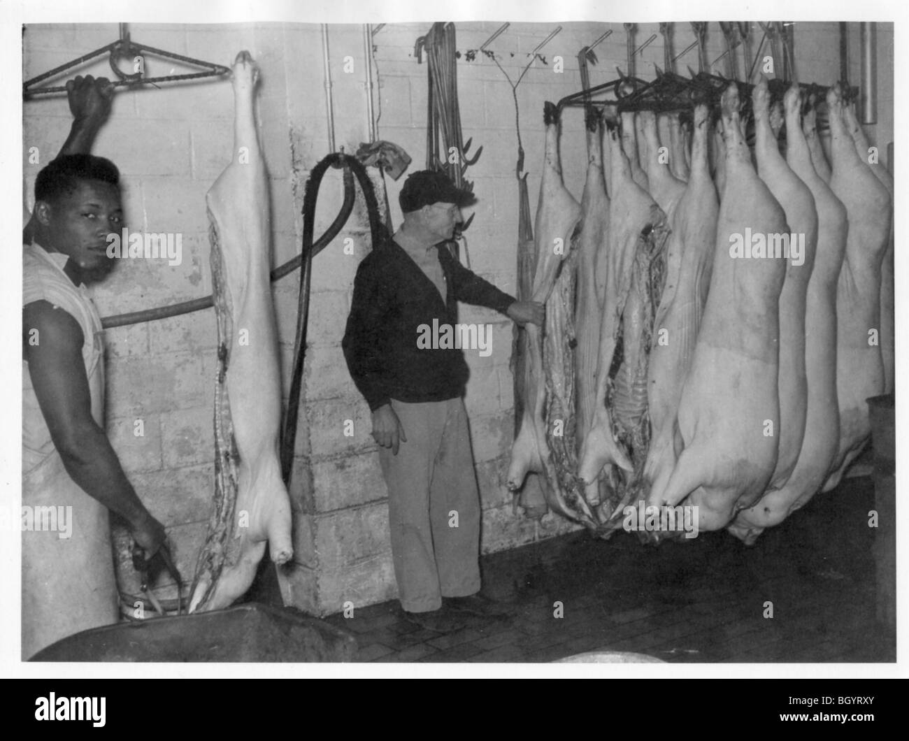 Slaughter hires stock photography and images Alamy