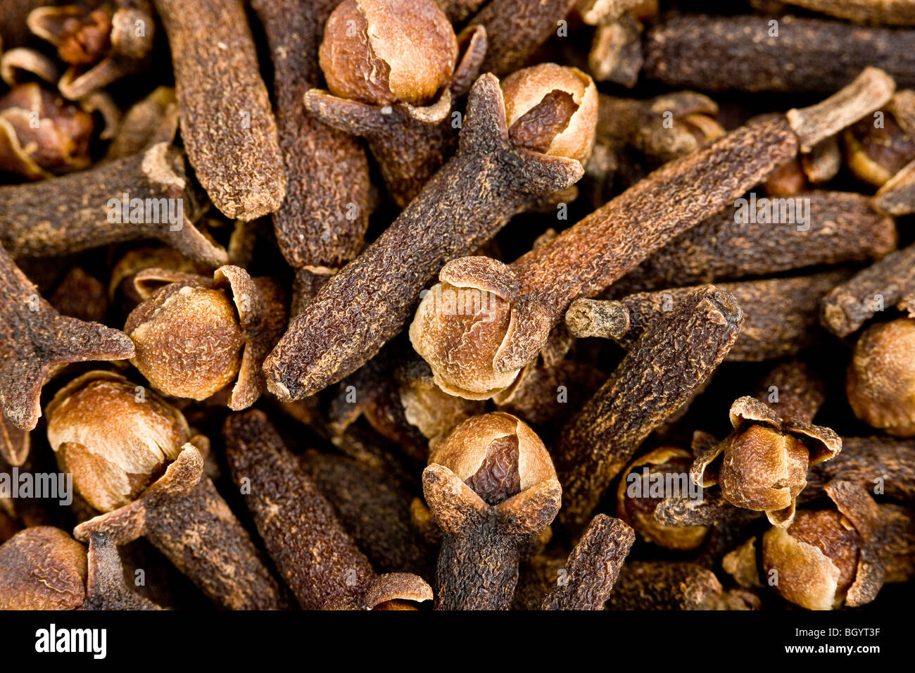 Whole black cloves Stock Photo Alamy
