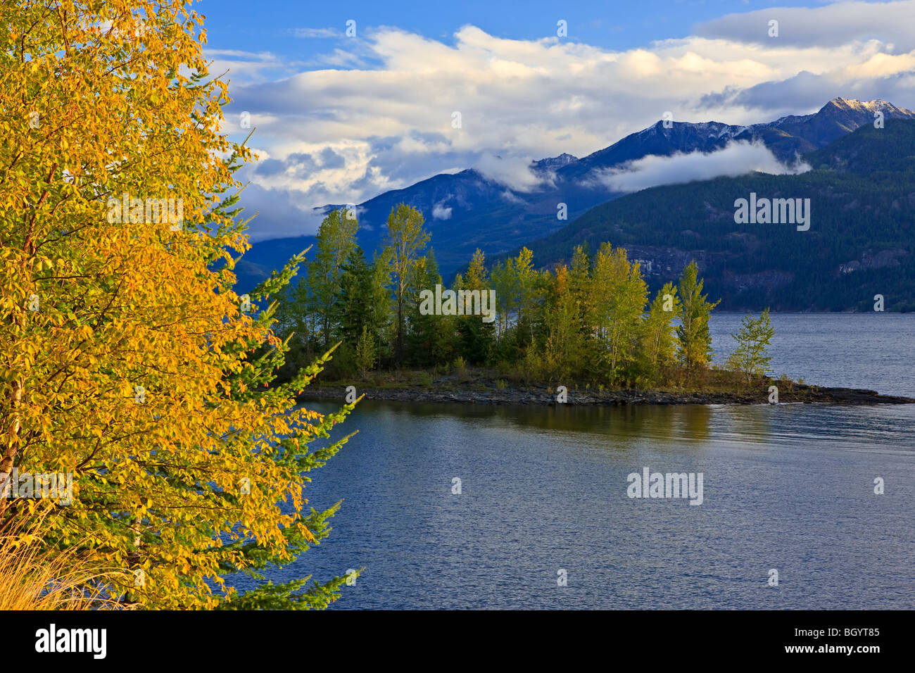 Fall colors on an island in Kootenay Lake, Central Kootenay, British Columbia, Canada Stock
