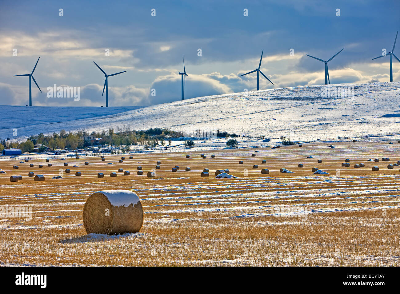 Hay bales covered in snow in Cowley backdropped by windmills in Southern Alberta, Canada. Stock Photo