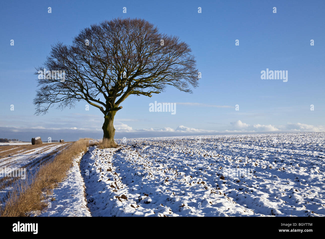 Snowy Yorkshire Wolds above Forden Yorkshire Wolds East Yorkshire Stock Photo