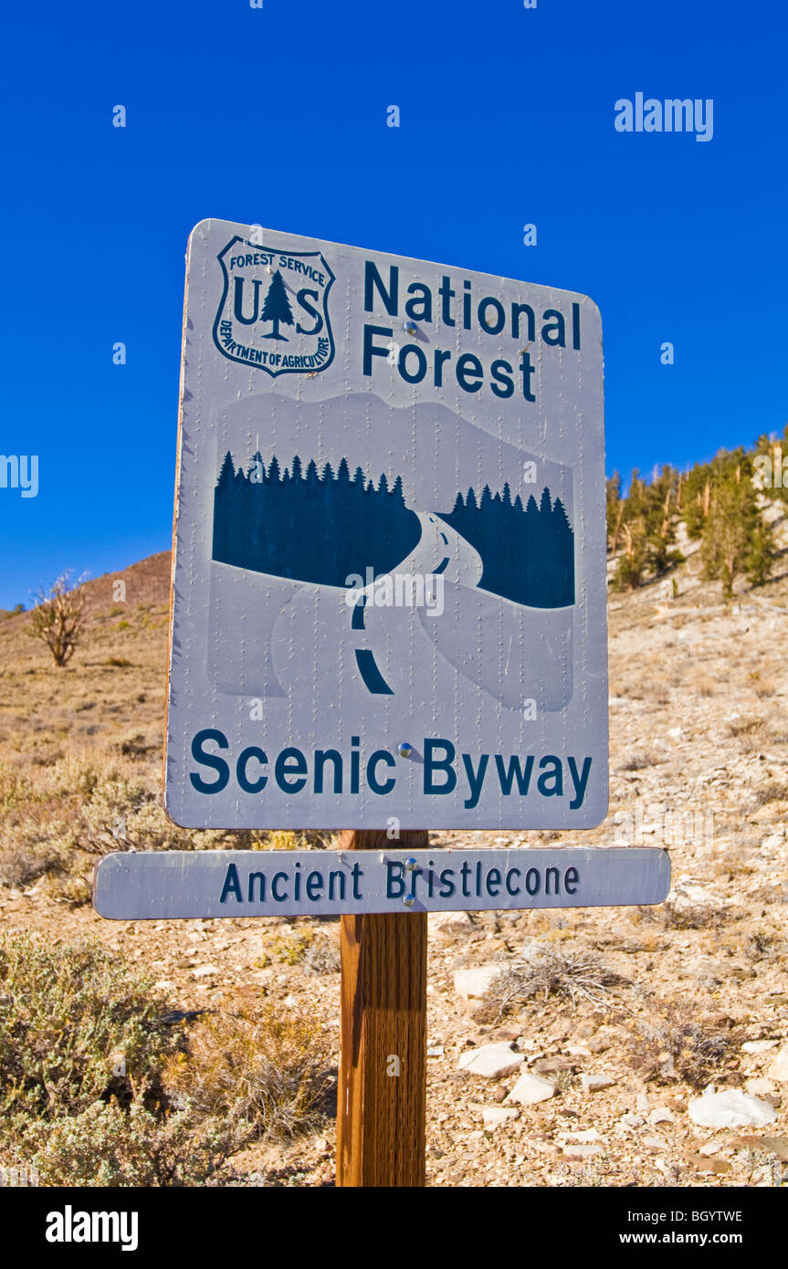 National Forest scenic byway sign, Ancient Bristlecone Pine Forest, Inyo National Forest, White Mountains, California Stock Photo