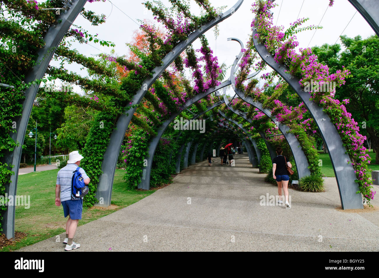 South Bank Parklands Walkway Arches Brisbane Australia // BRISBANE, Australia — Artistically styled walkway arches in Brisbane's South Bank Parklands are covered in flowering vines, creating a shaded pedestrian corridor. The parklands, situated along the southern banks of the Brisbane River, were developed on the site of World Expo '88 and have become one of the city's premier recreational areas. This verdant urban space features gardens, restaurants, and cultural venues, serving as a popular gathering spot for both locals and tourists in Queensland's capital city. Stock Photo