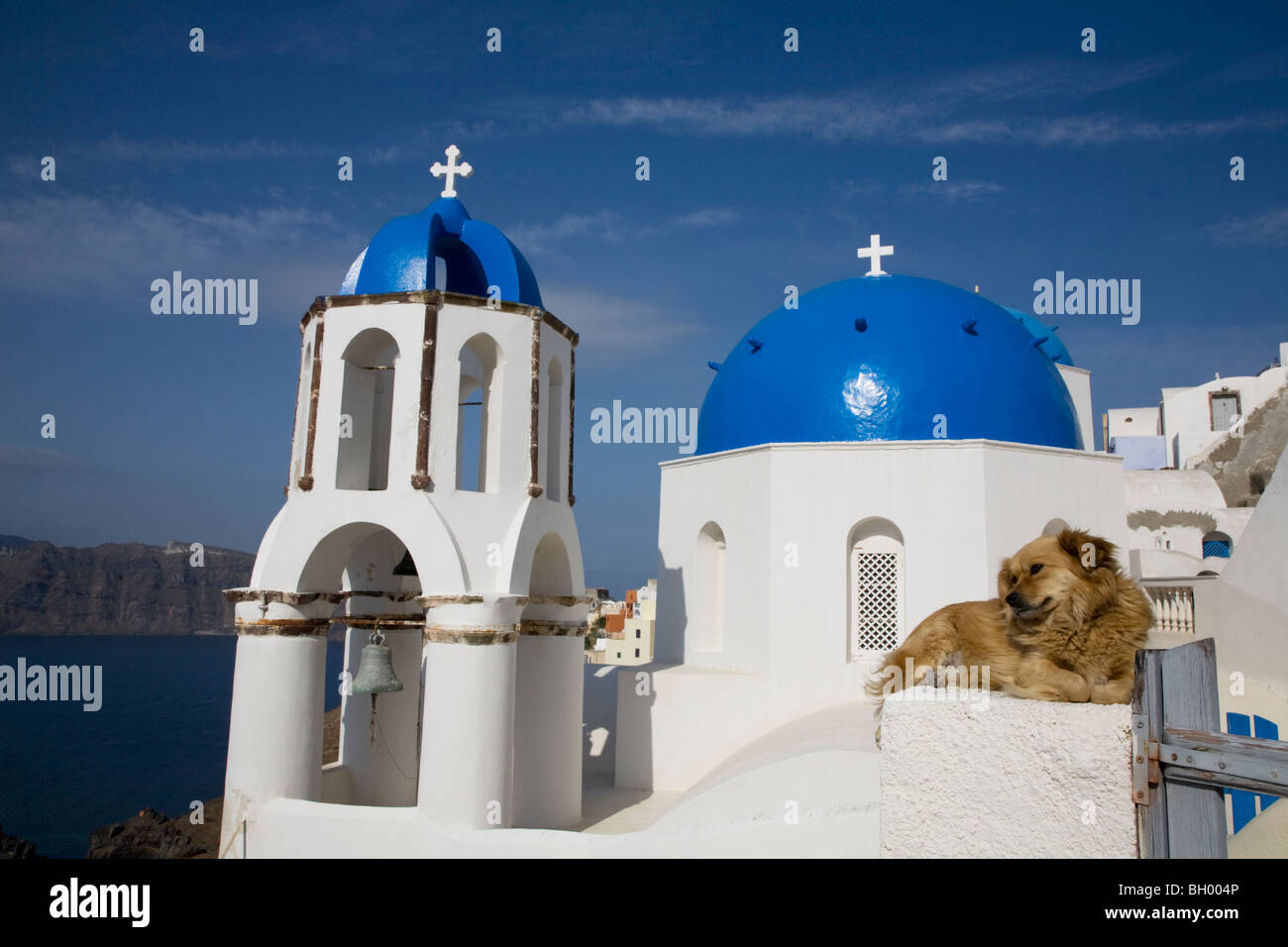 Dog relaxing on white gatepost in front of blue-domed church and bell tower Stock Photo