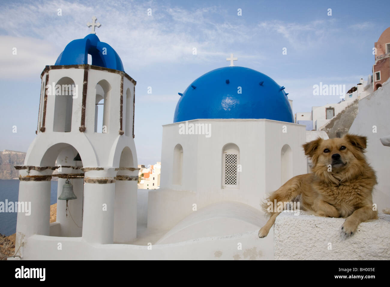 Dog relaxing on white gatepost in front of blue-domed church and bell tower Stock Photo