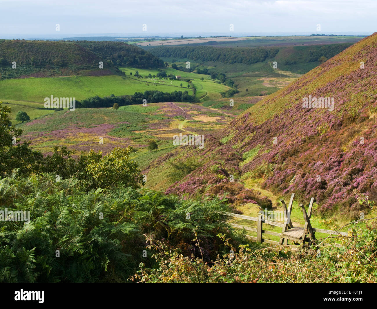 Heather and stile in the Hole of Horcum on the North York Moors National Park. Stock Photo
