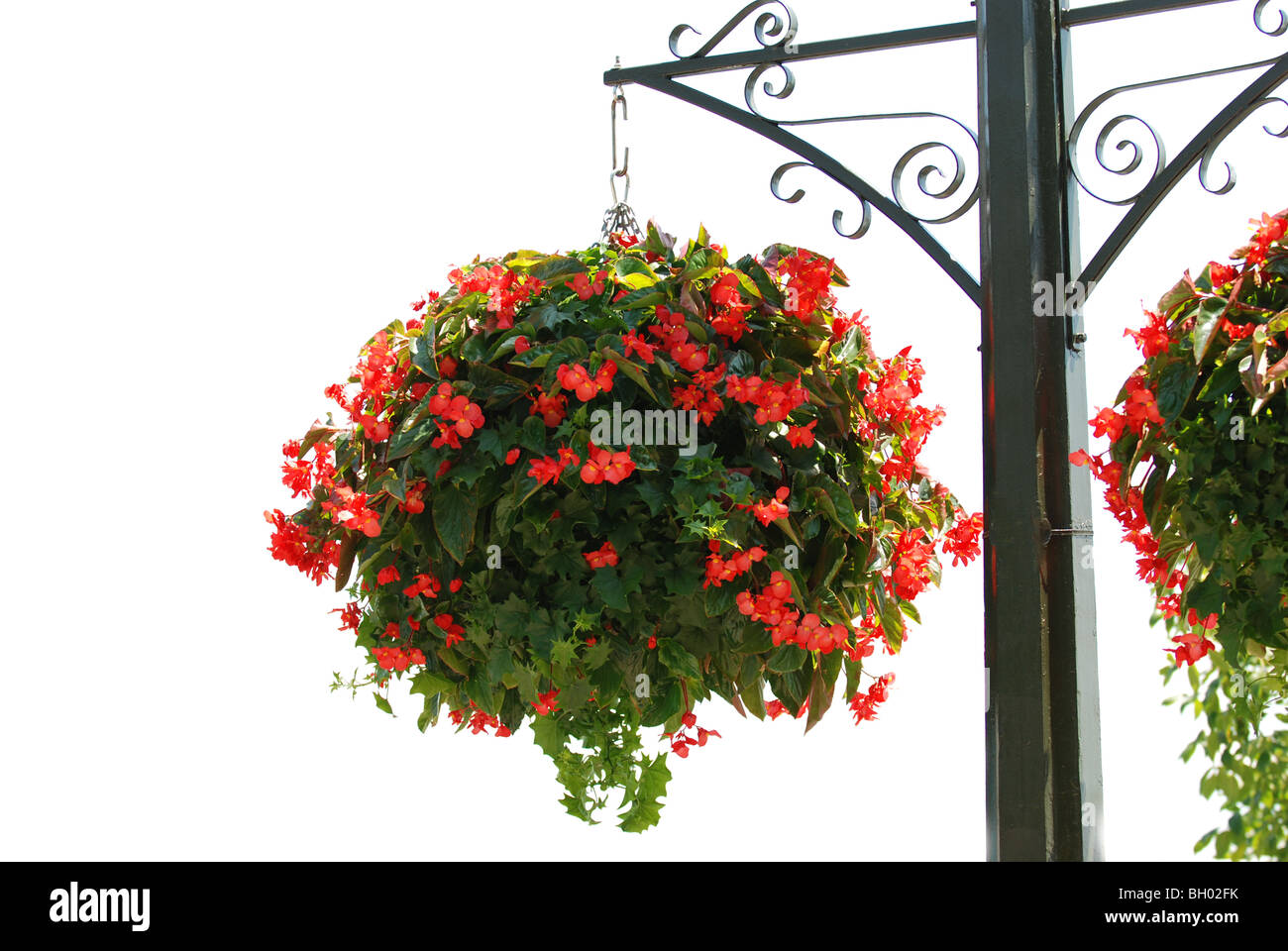 Flower basket on a post Stock Photo