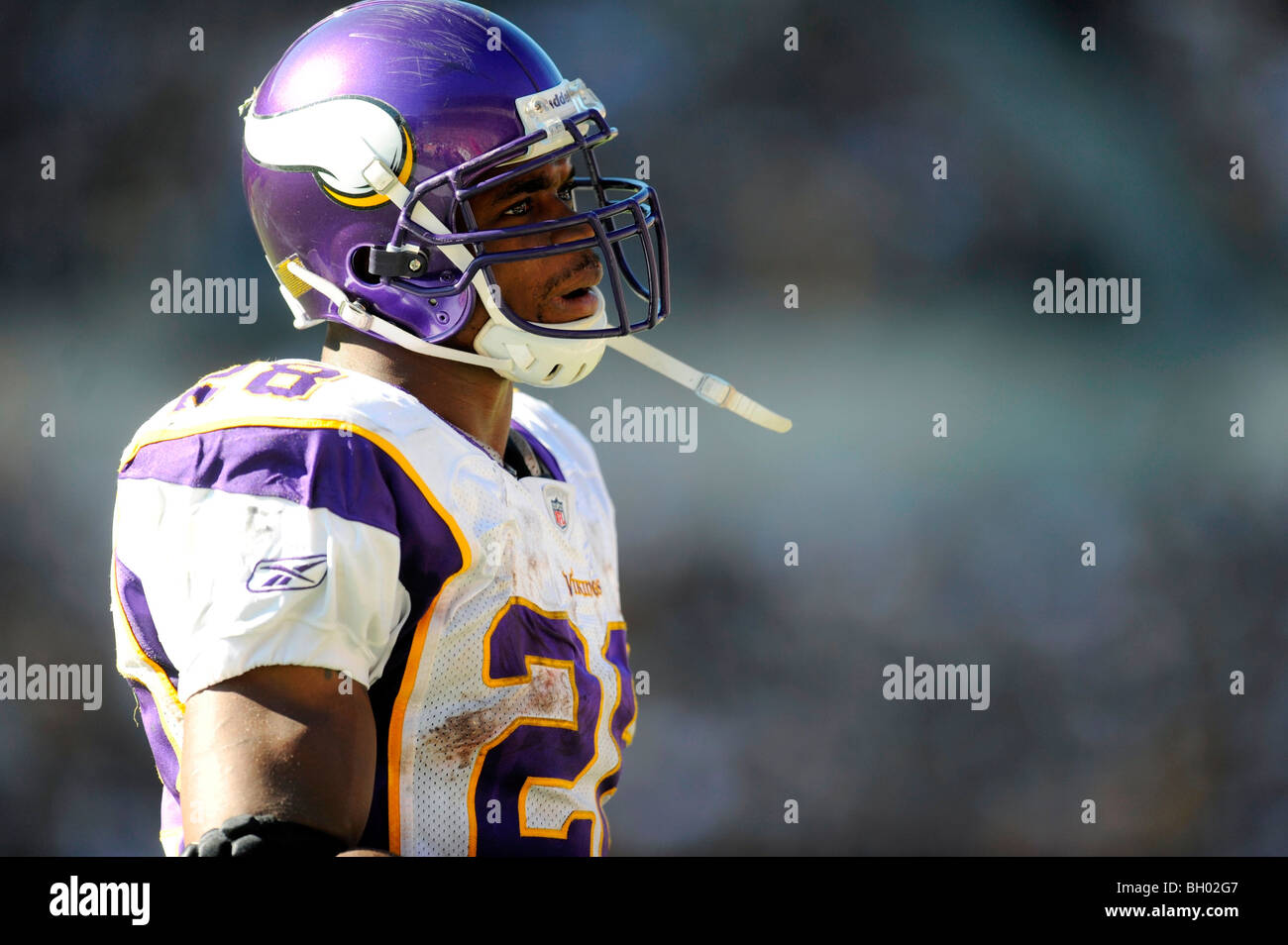 Adrian Peterson #28 of the Minnesota Vikings rushes Stock Photo - Alamy