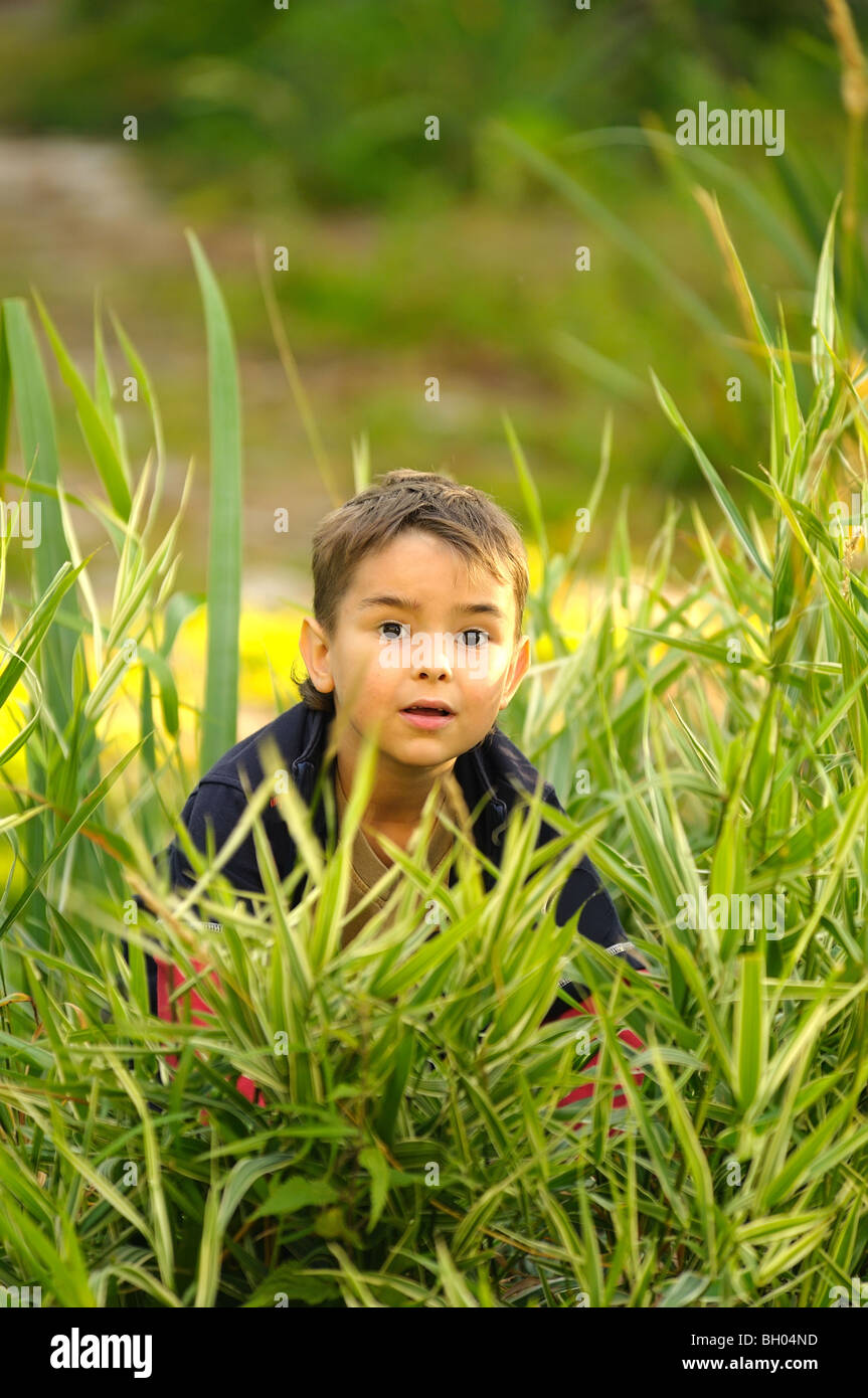 Boy hiding in the grass Stock Photo