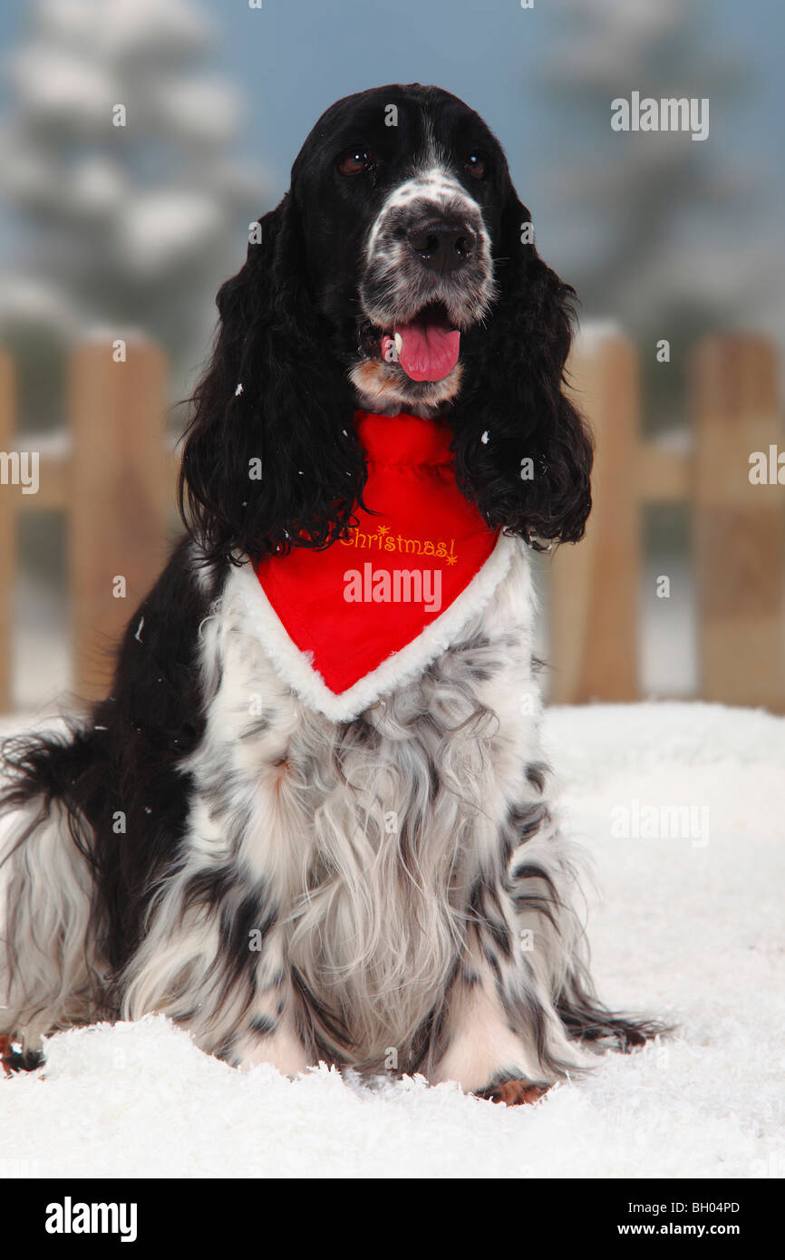 christmas neckerchief