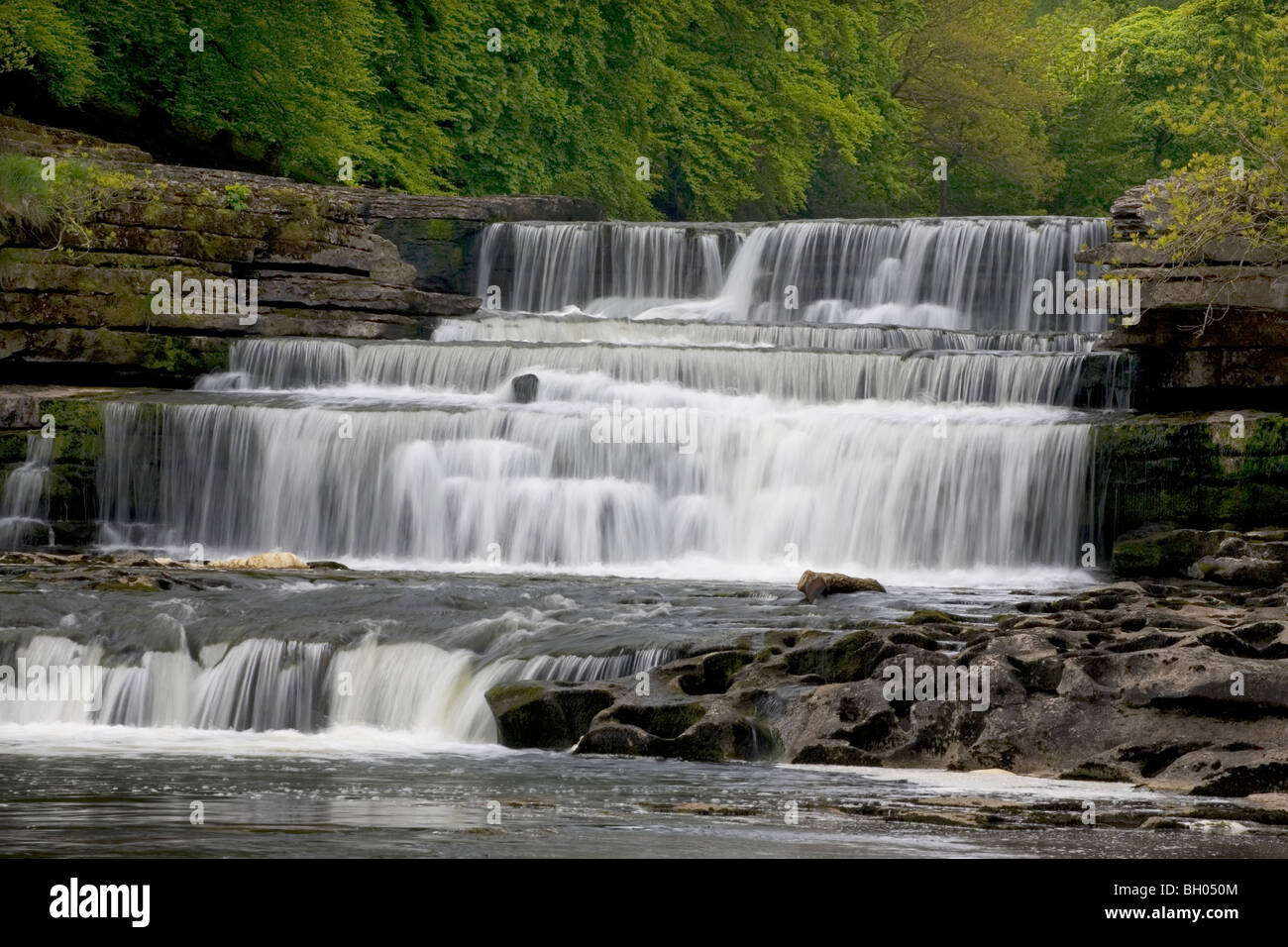 Lower Falls, Aysgarth, Wensleydale, Yorkshire Dales, England, UK Stock Photo