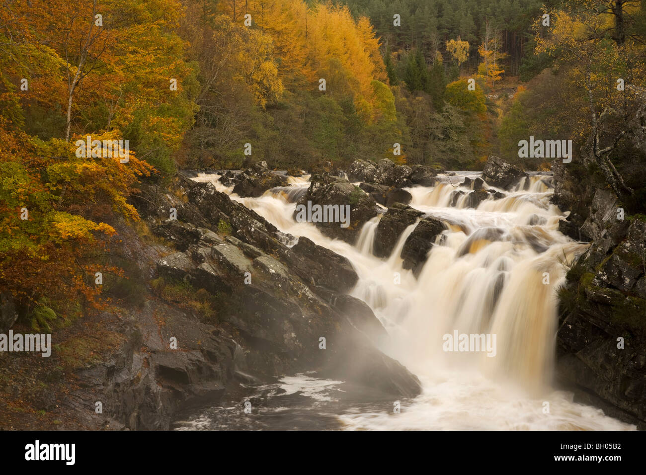 Falls of Rogie, near Strathpeffer, Highlands of Scotland, UK Stock Photo