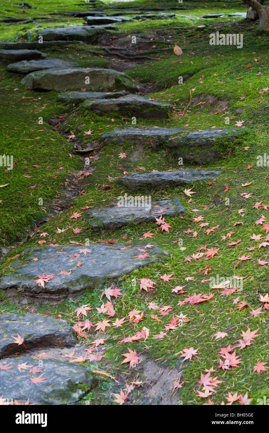 Rustic rock steps set into the ground in a garden Stock Photo - Alamy