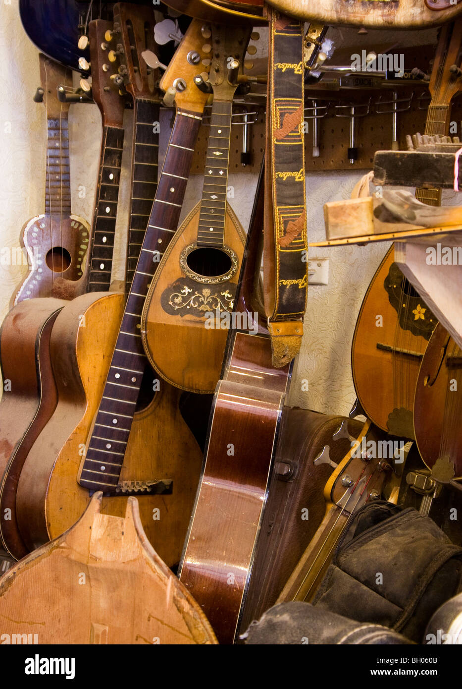 Stringed instruments lined up in a luthier's shop, waiting to be repaired. Stock Photo