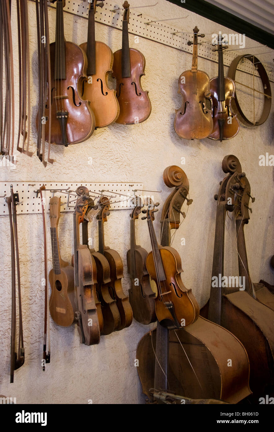 Violins hang in a luthier's shop. Stock Photo