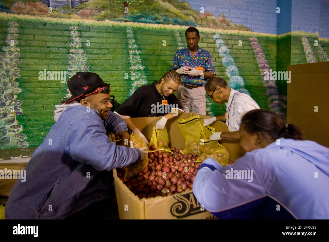 Volunteer workers sort potatoes at the Gleaners Food Bank in Detroit, Michigan during recession in the automotive industry. Stock Photo