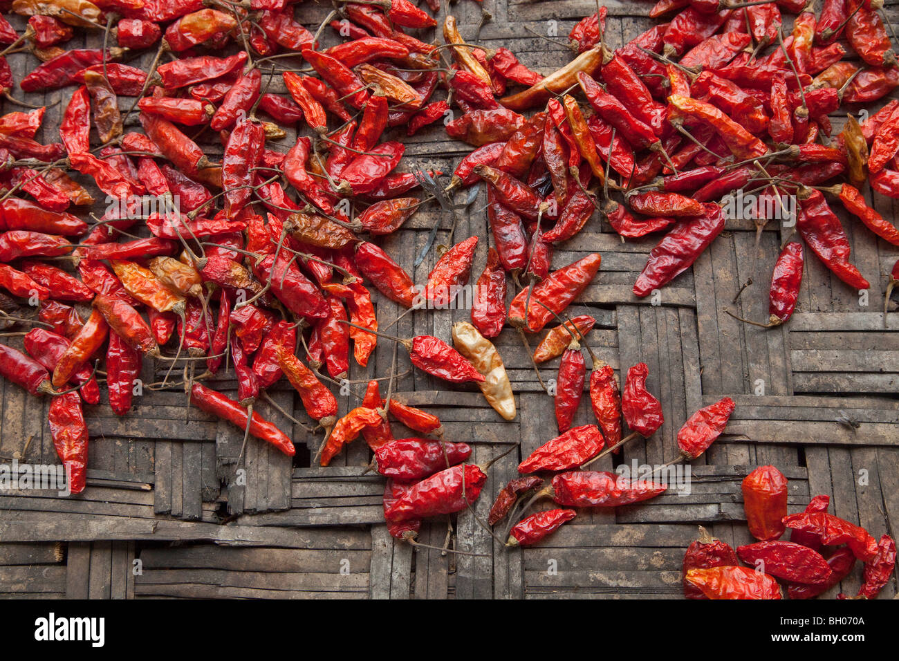 Red chilli seed pods drying, Malaysia Stock Photo