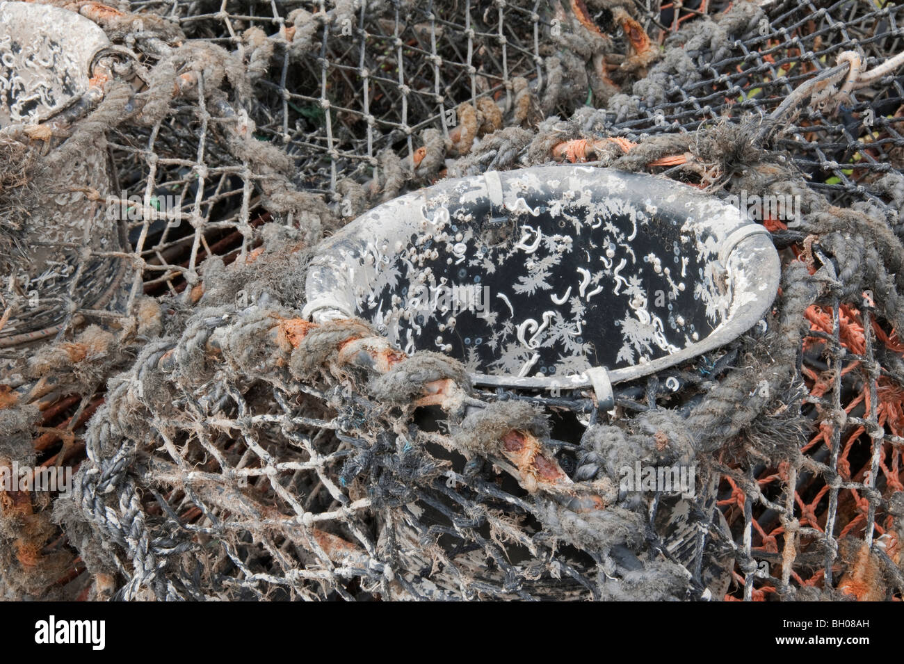 Lobster pot rope hires stock photography and images Alamy