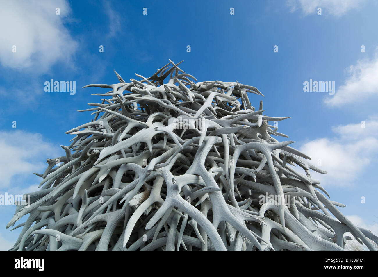 Pile of bleached elk antlers at the National Bison Range in Montana, USA Stock Photo