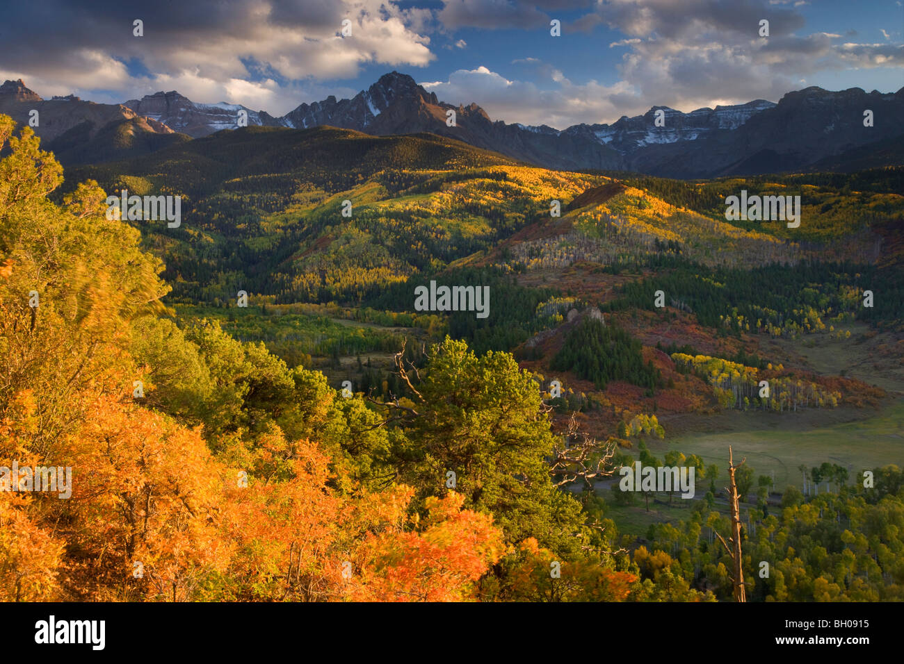 Autumn colors and the Sneffels Range, San Juan Mountains, Colorado. Stock Photo