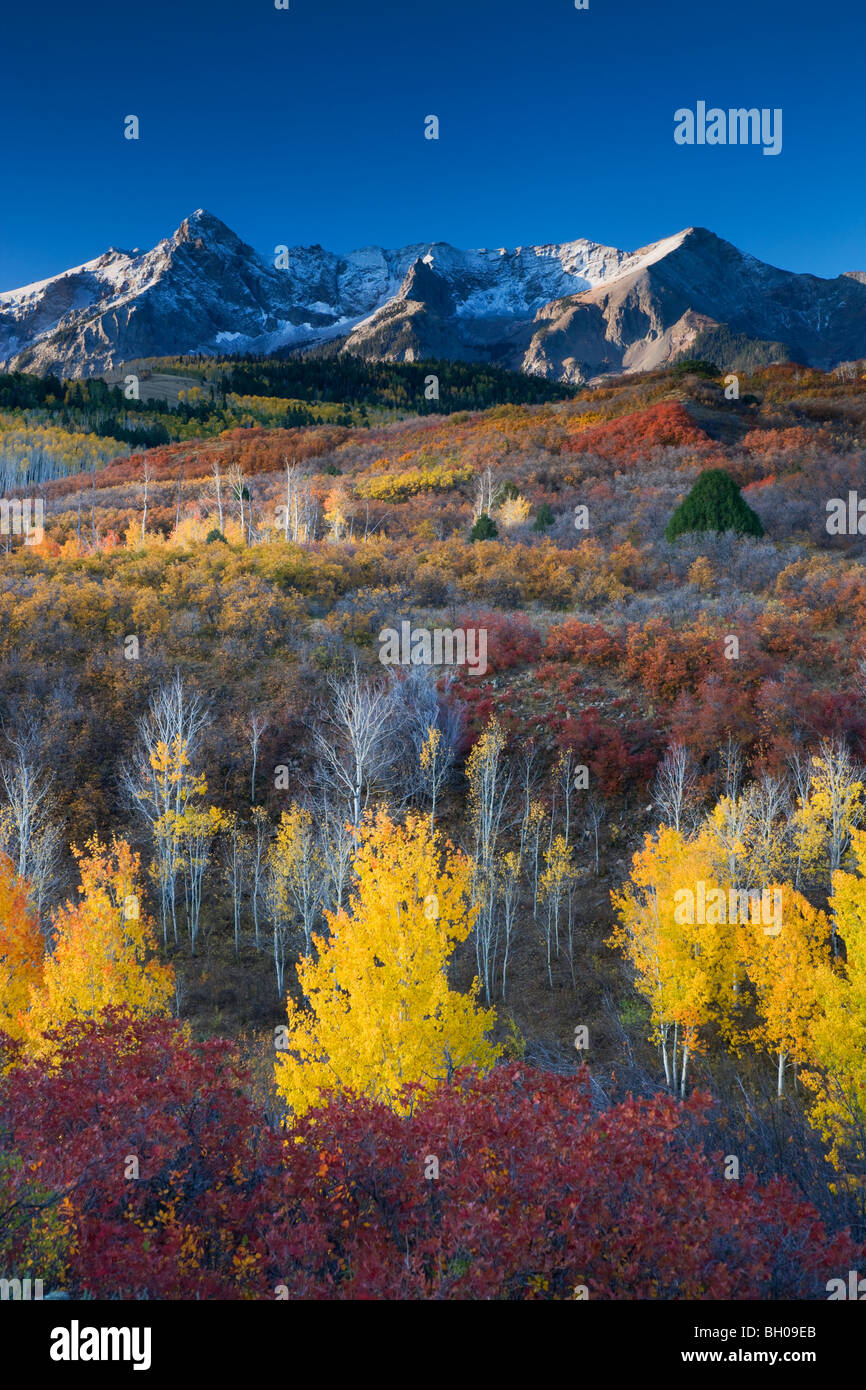 Autumn colors and the Sneffels Range, San Juan Mountains, Dallas Divide, Colorado. Stock Photo